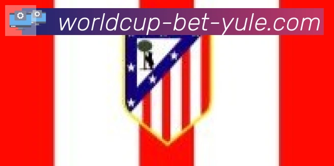 FIFA世界杯买球入口合作伙伴